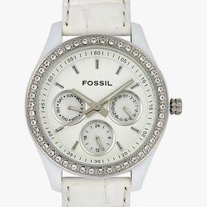 Fossil unisex watch ES1965